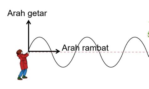 gelombang bunyi transversal atau longitudinal